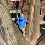 Kind klettert auf einen Baum